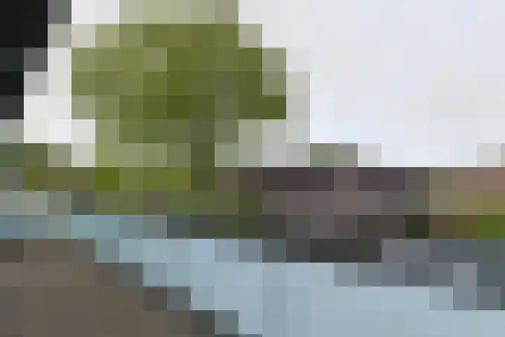 Paddestoelweg 132 Alphen aan den Rijn thumbnail 50