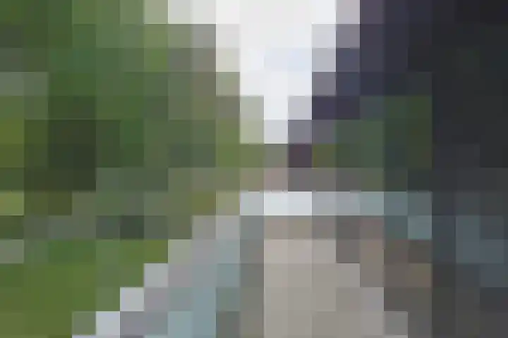 Paddestoelweg 132 Alphen aan den Rijn thumbnail 51