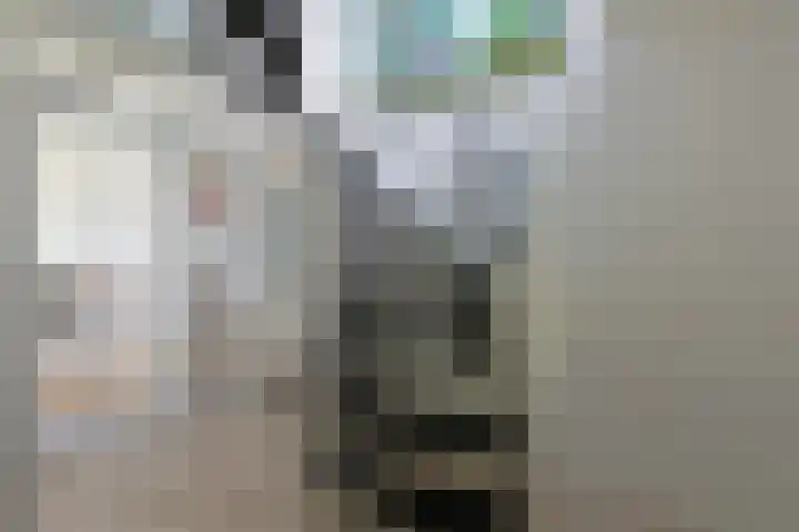 Paddestoelweg 132 Alphen aan den Rijn thumbnail 7