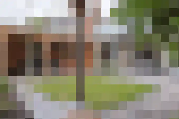 Paddestoelweg 132 Alphen aan den Rijn thumbnail 74