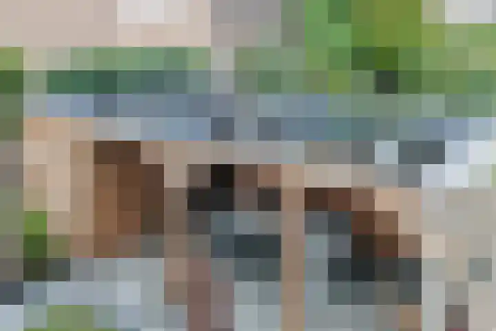 Paddestoelweg 132 Alphen aan den Rijn thumbnail 76
