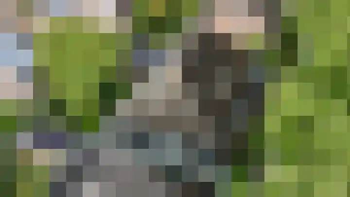 Paddestoelweg 132 Alphen aan den Rijn thumbnail 77