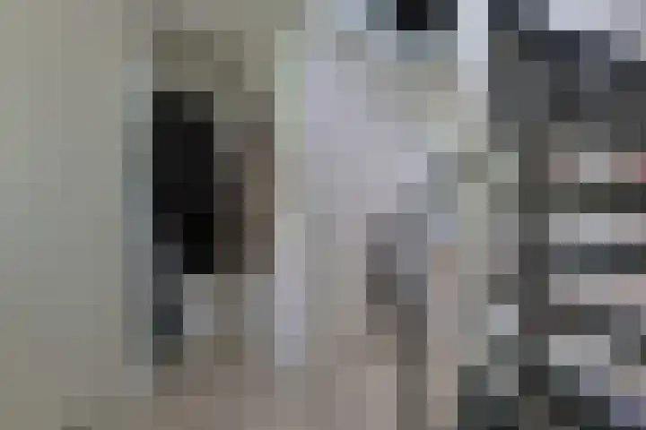Paddestoelweg 132 Alphen aan den Rijn thumbnail 8