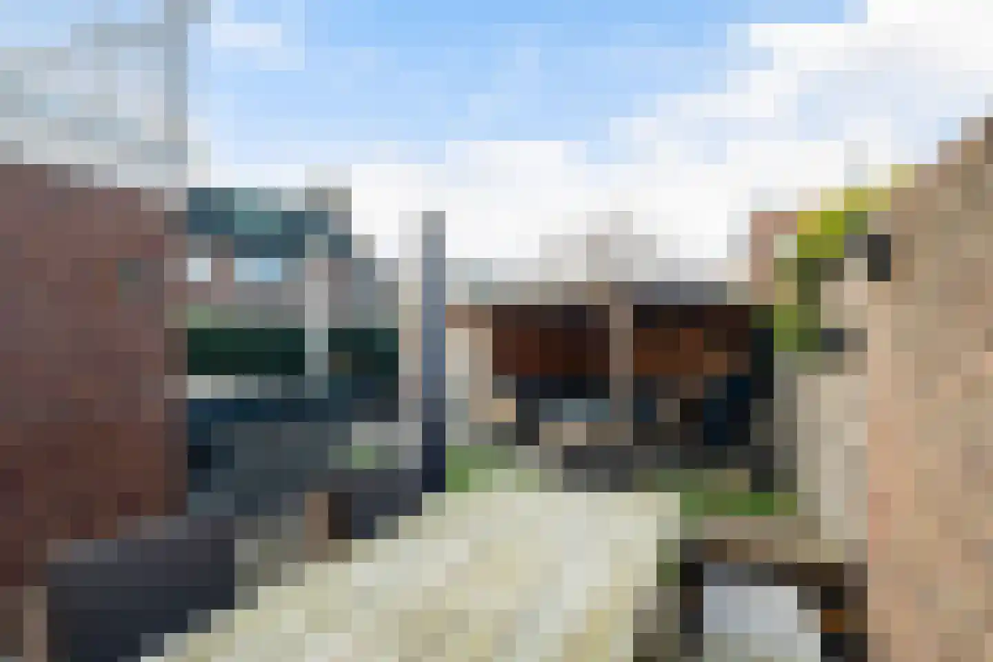 Paddestoelweg 142 Alphen aan den Rijn thumbnail 16