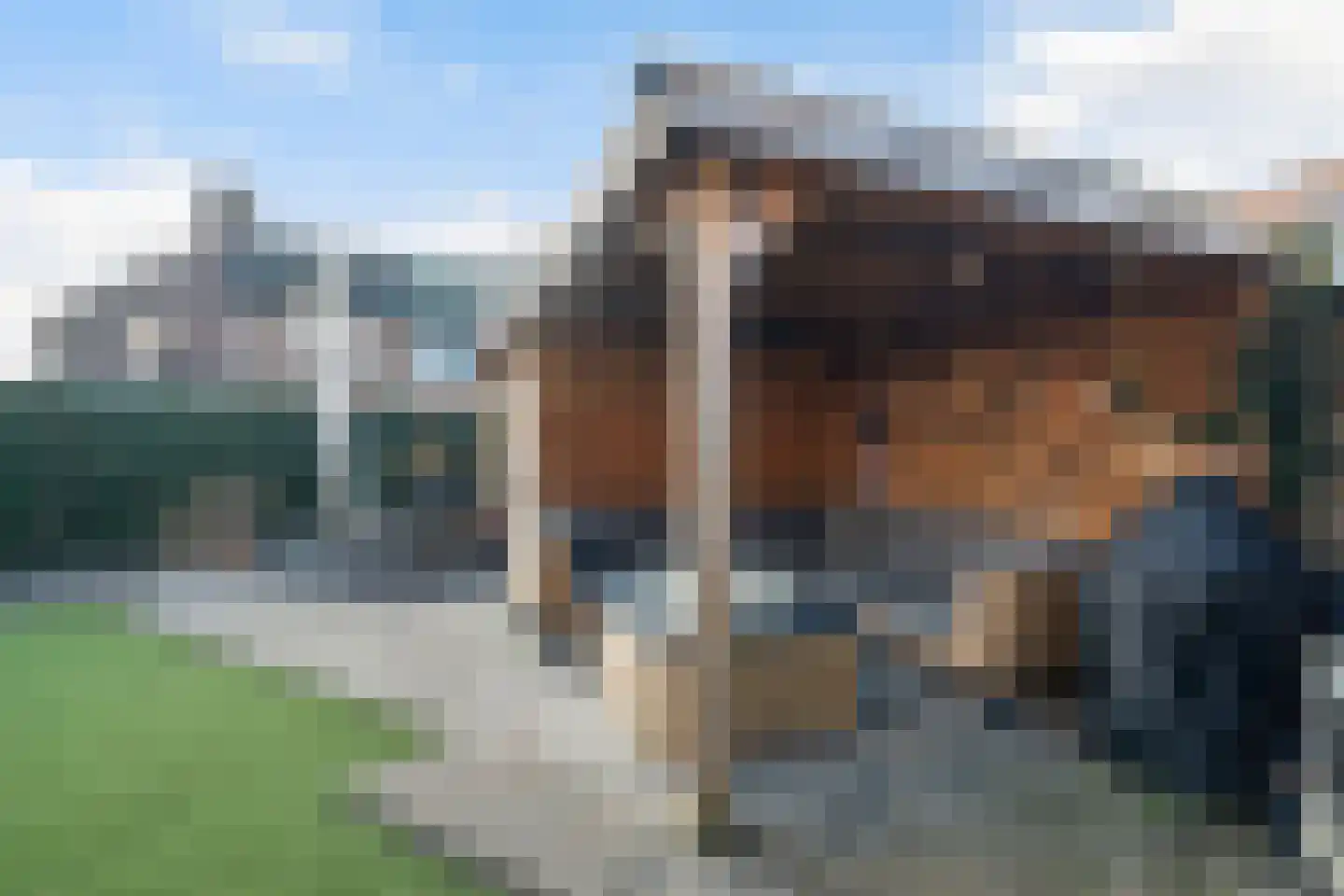 Paddestoelweg 142 Alphen aan den Rijn thumbnail 18