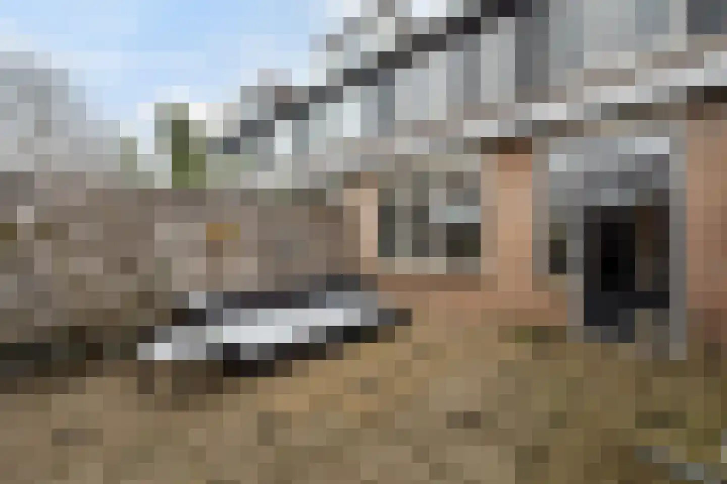 Paddestoelweg 149 Alphen aan den Rijn thumbnail 33