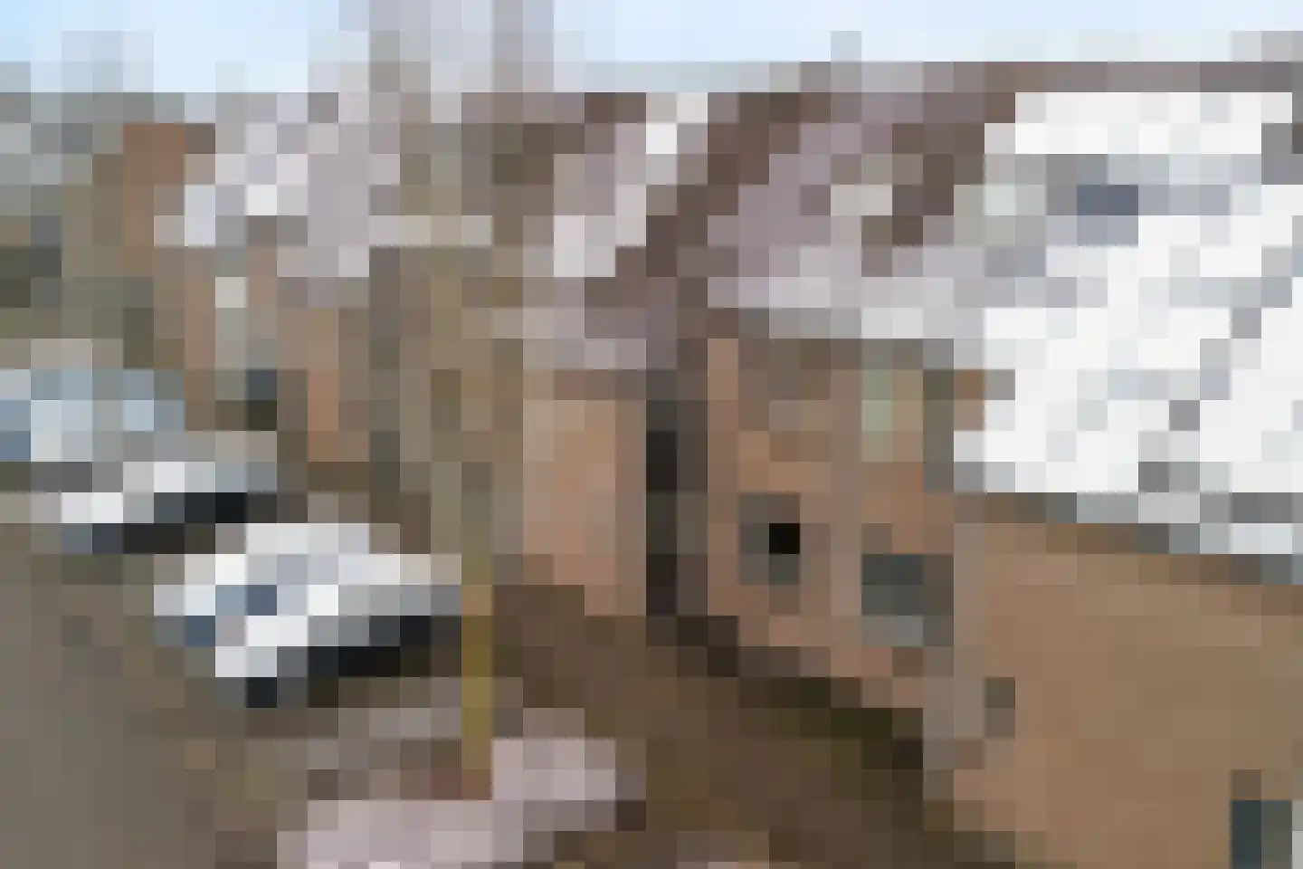 Paddestoelweg 149 Alphen aan den Rijn thumbnail 4