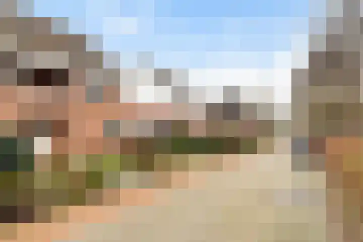 Paddestoelweg 154 Alphen aan den Rijn thumbnail 11