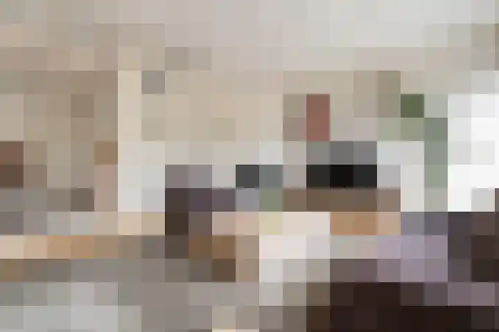 Paddestoelweg 154 Alphen aan den Rijn thumbnail 23