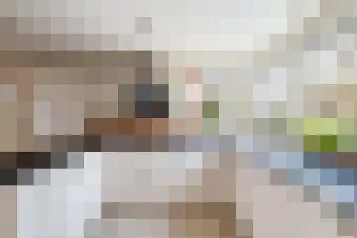 Paddestoelweg 154 Alphen aan den Rijn thumbnail 31