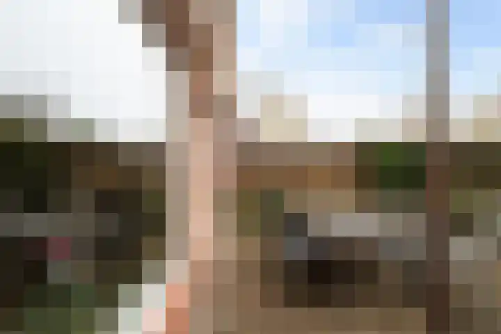 Paddestoelweg 154 Alphen aan den Rijn thumbnail 36