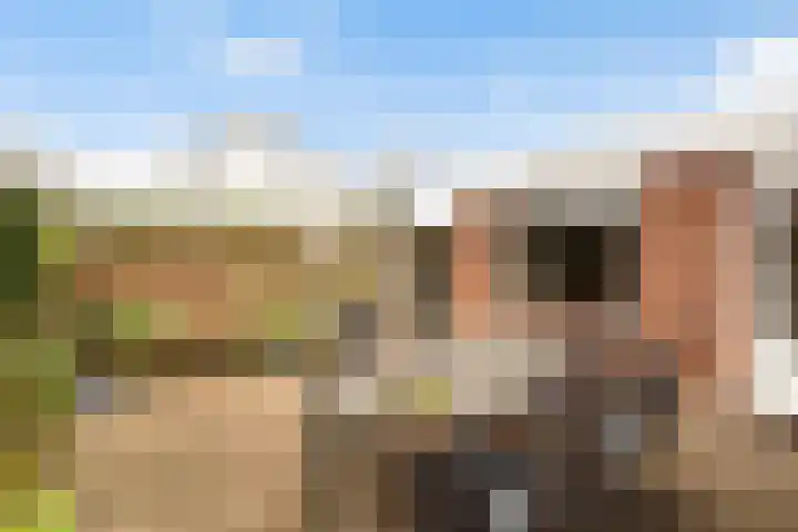 Paddestoelweg 154 Alphen aan den Rijn thumbnail 37