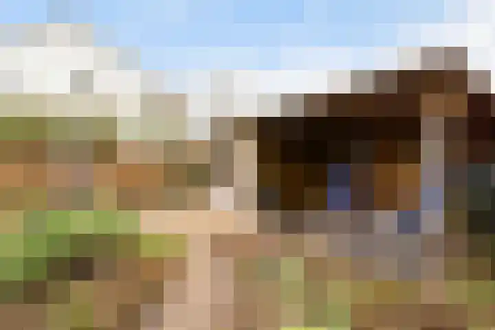 Paddestoelweg 154 Alphen aan den Rijn thumbnail 39
