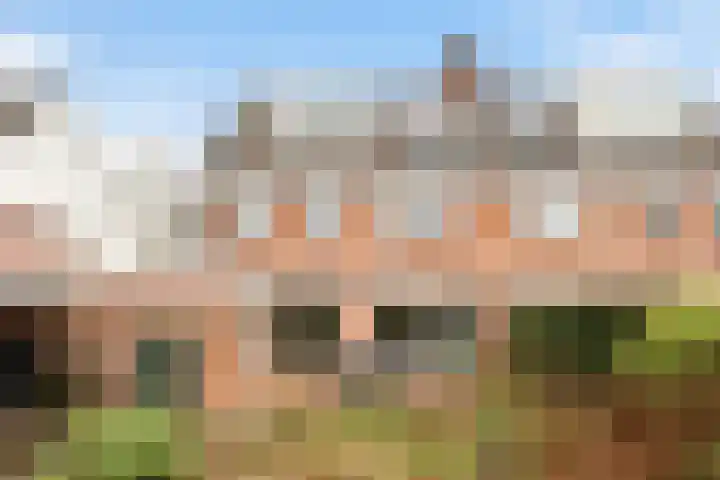 Paddestoelweg 154 Alphen aan den Rijn thumbnail 42