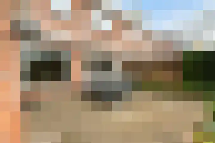 Paddestoelweg 154 Alphen aan den Rijn thumbnail 43