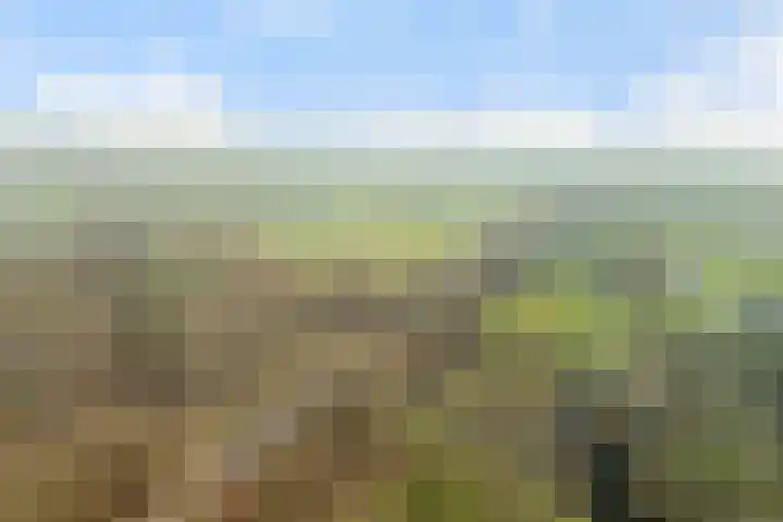 Paddestoelweg 154 Alphen aan den Rijn thumbnail 66
