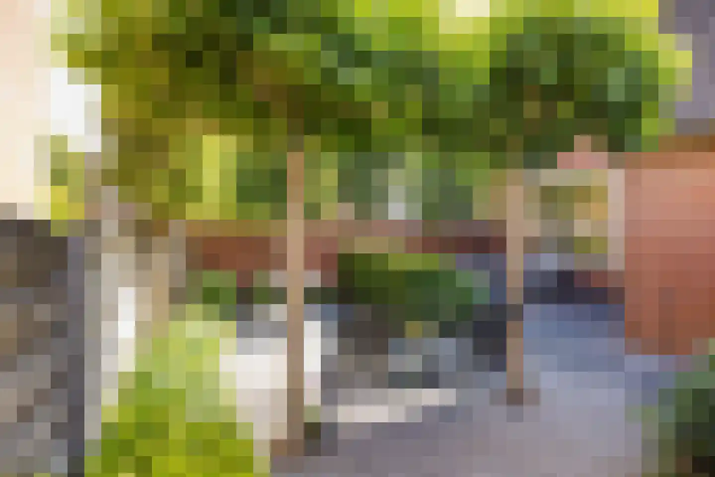 Paddestoelweg 61 Alphen aan den Rijn foto 3