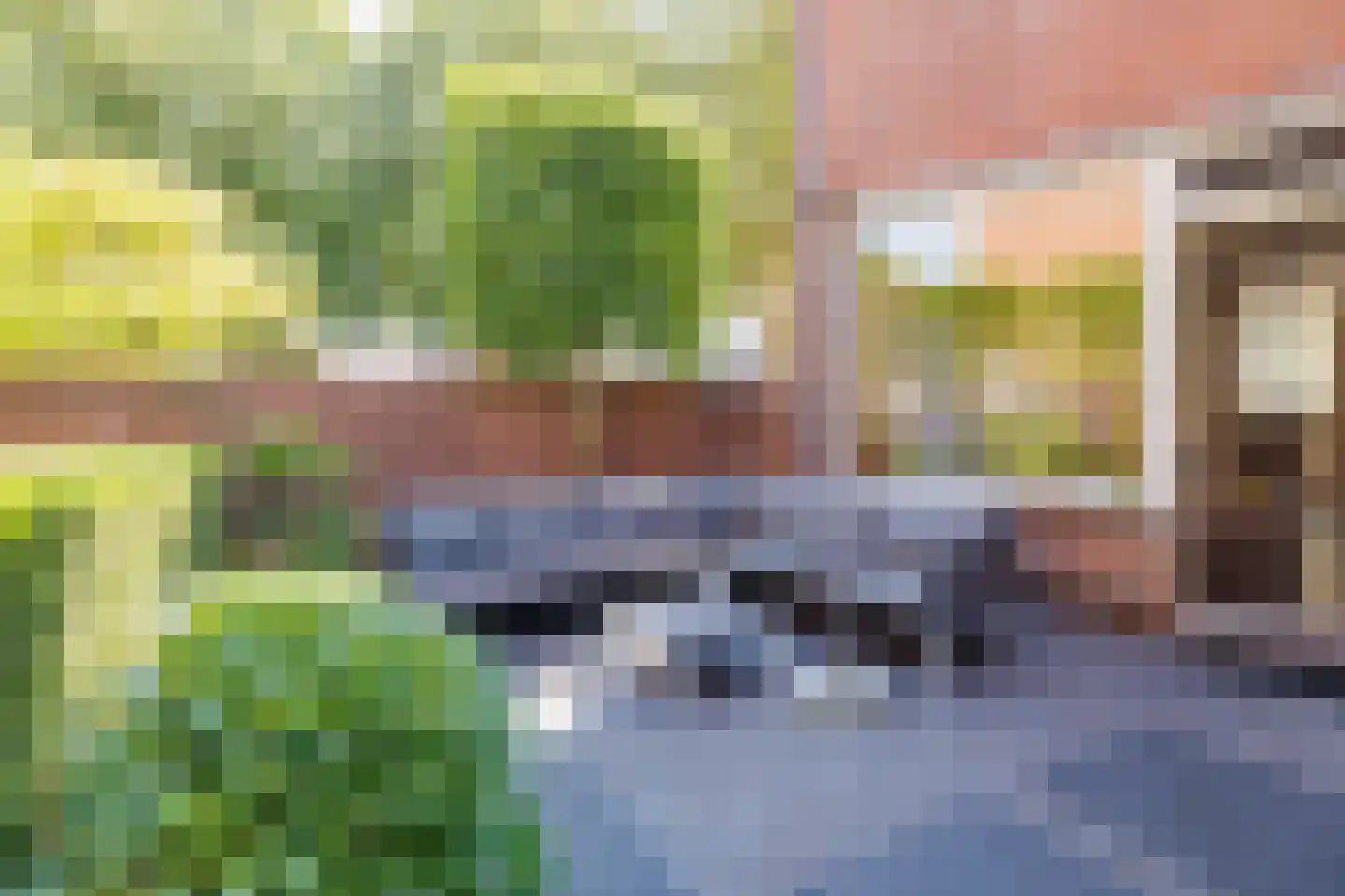 Paddestoelweg 61 Alphen aan den Rijn thumbnail 33