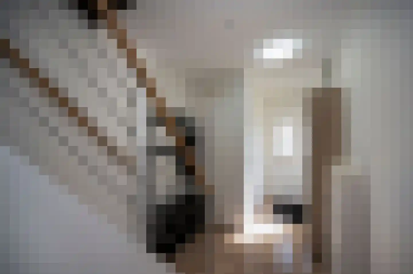 Paddestoelweg 67 Alphen aan den Rijn thumbnail 4