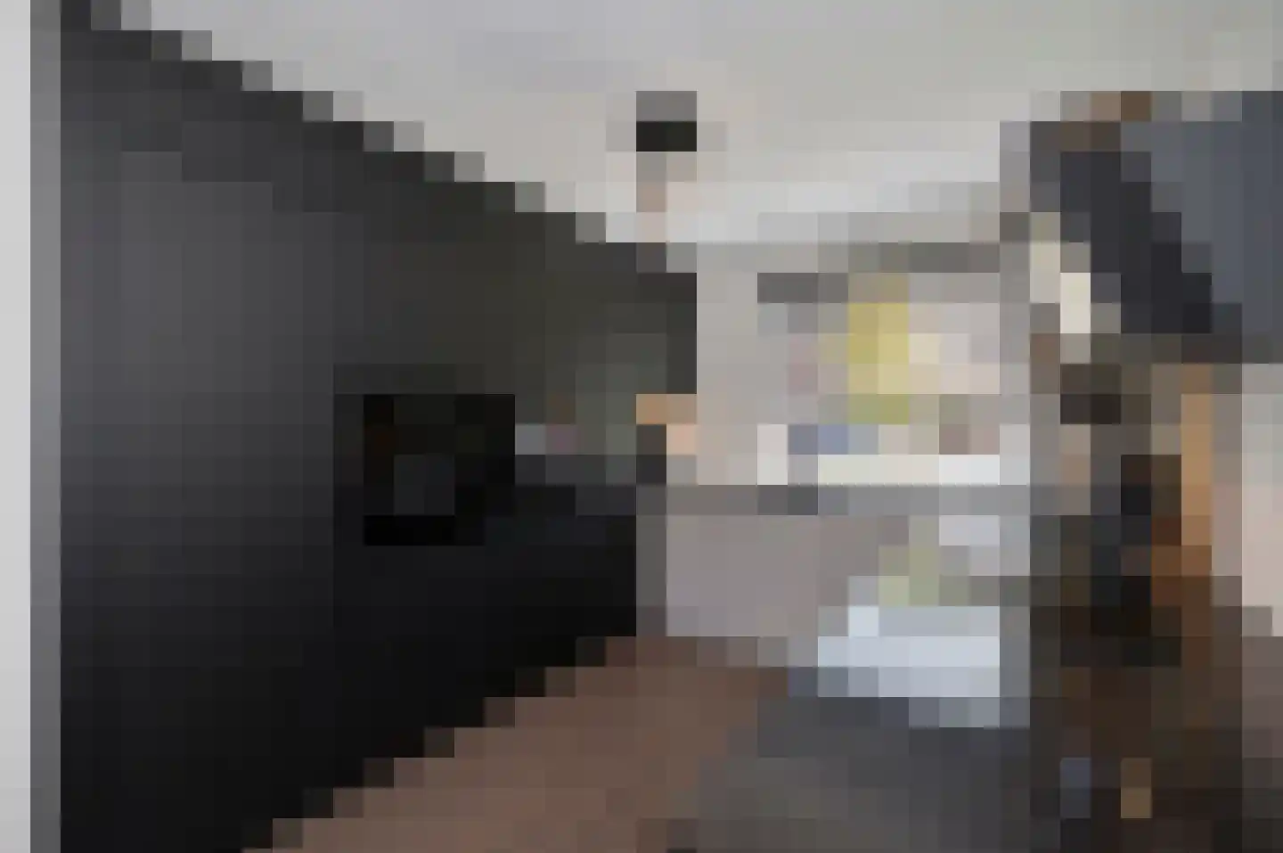 Paddestoelweg 67 Alphen aan den Rijn thumbnail 7