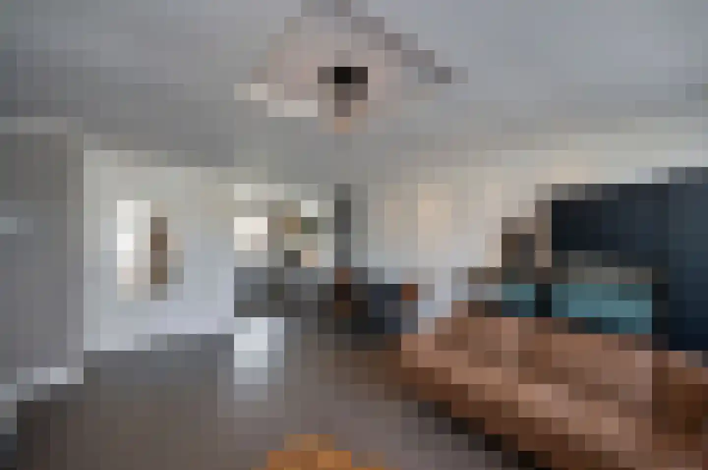 Paddestoelweg 67 Alphen aan den Rijn thumbnail 9
