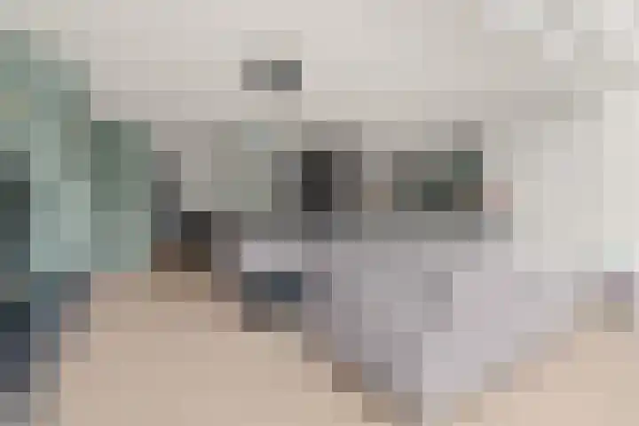 Paddestoelweg 95 Alphen aan den Rijn thumbnail 15