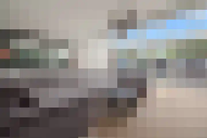 Paddestoelweg 95 Alphen aan den Rijn thumbnail 16
