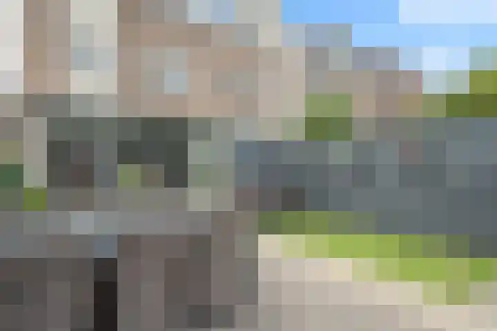Paddestoelweg 95 Alphen aan den Rijn thumbnail 26