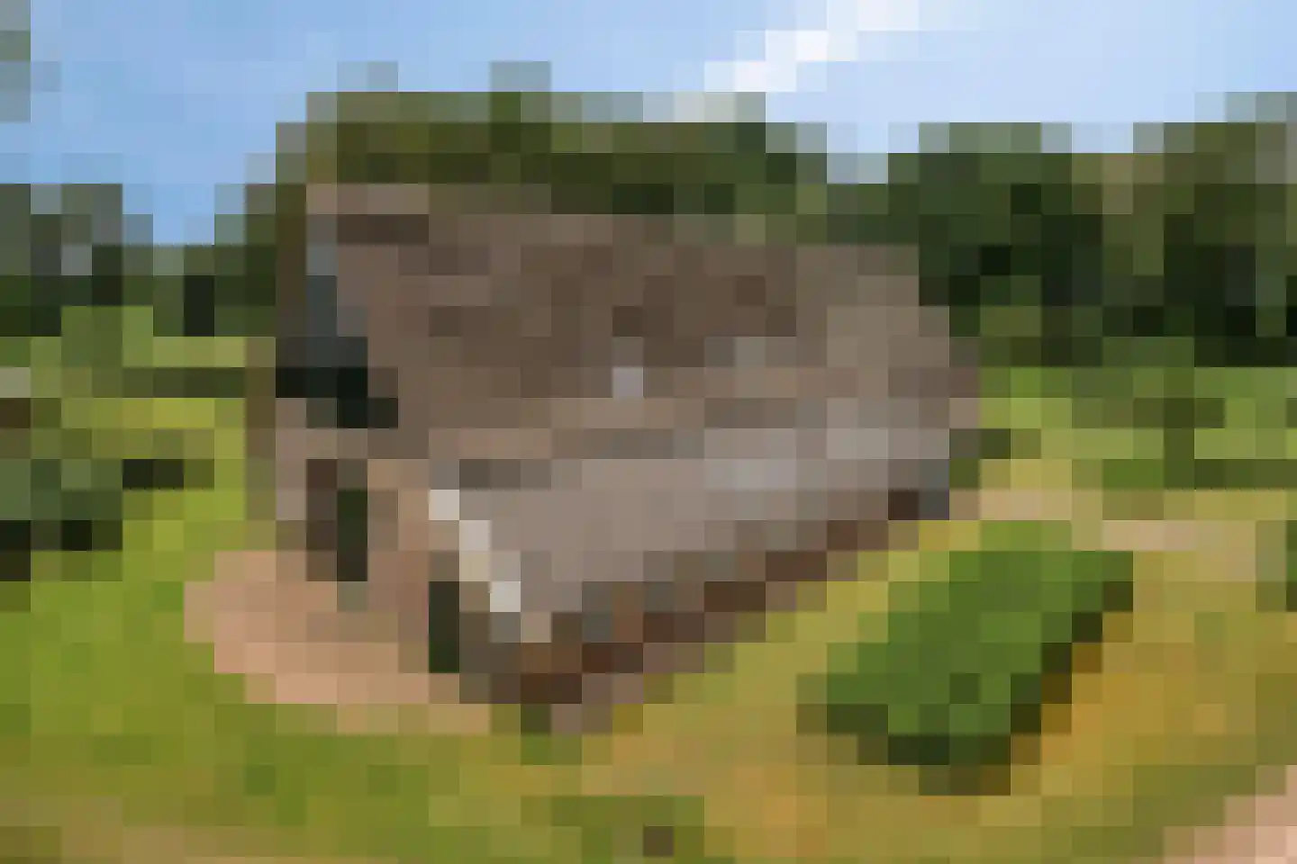 Padhuis Europaweg 48 Coevorden thumbnail 4