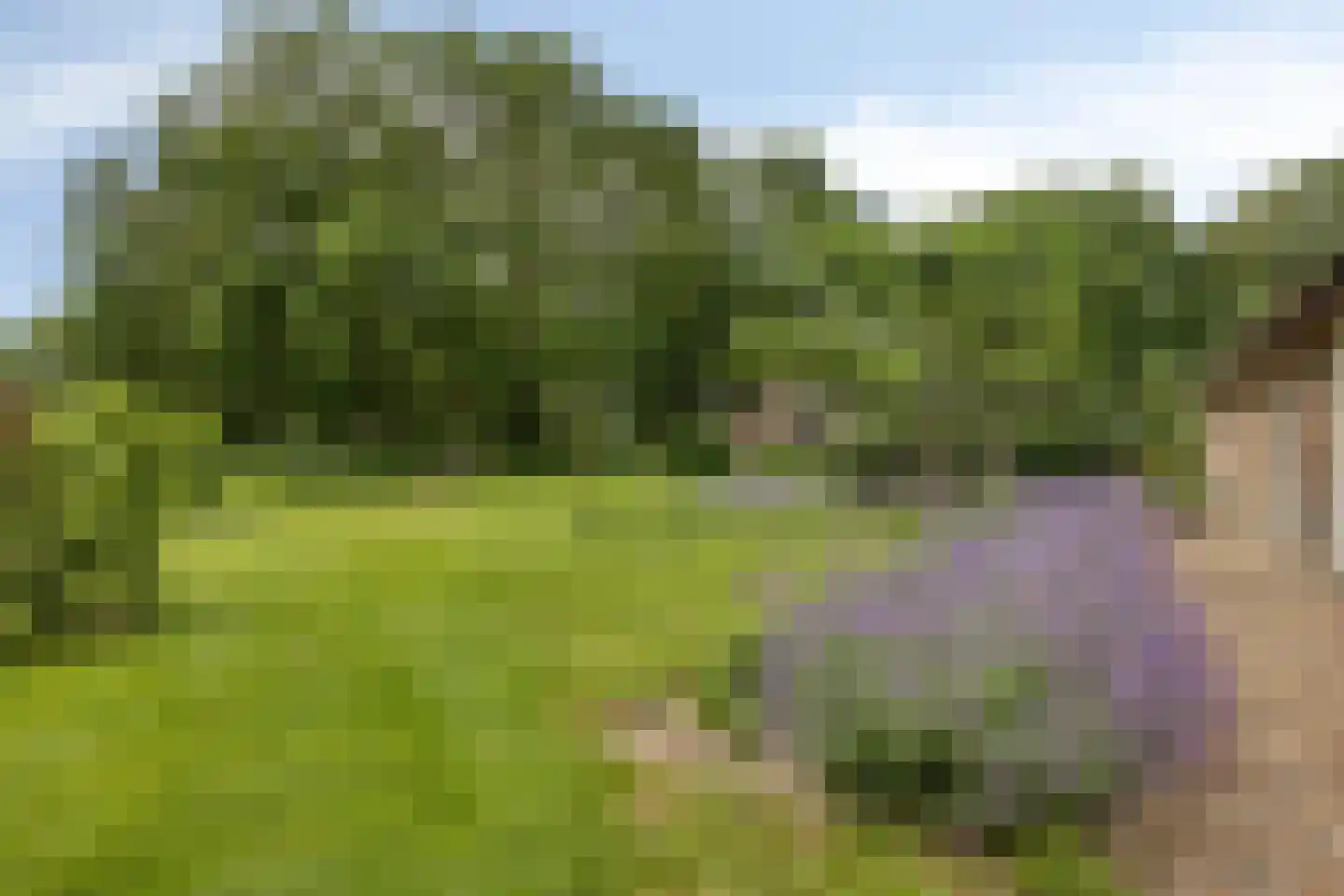 Padhuis Europaweg 48 Coevorden thumbnail 58