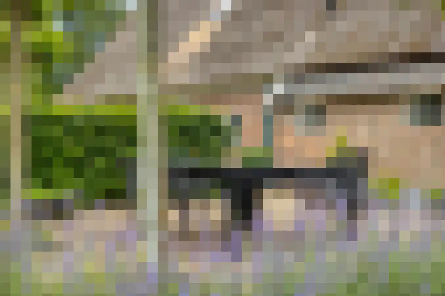 Padhuis Europaweg 48 Coevorden thumbnail 60