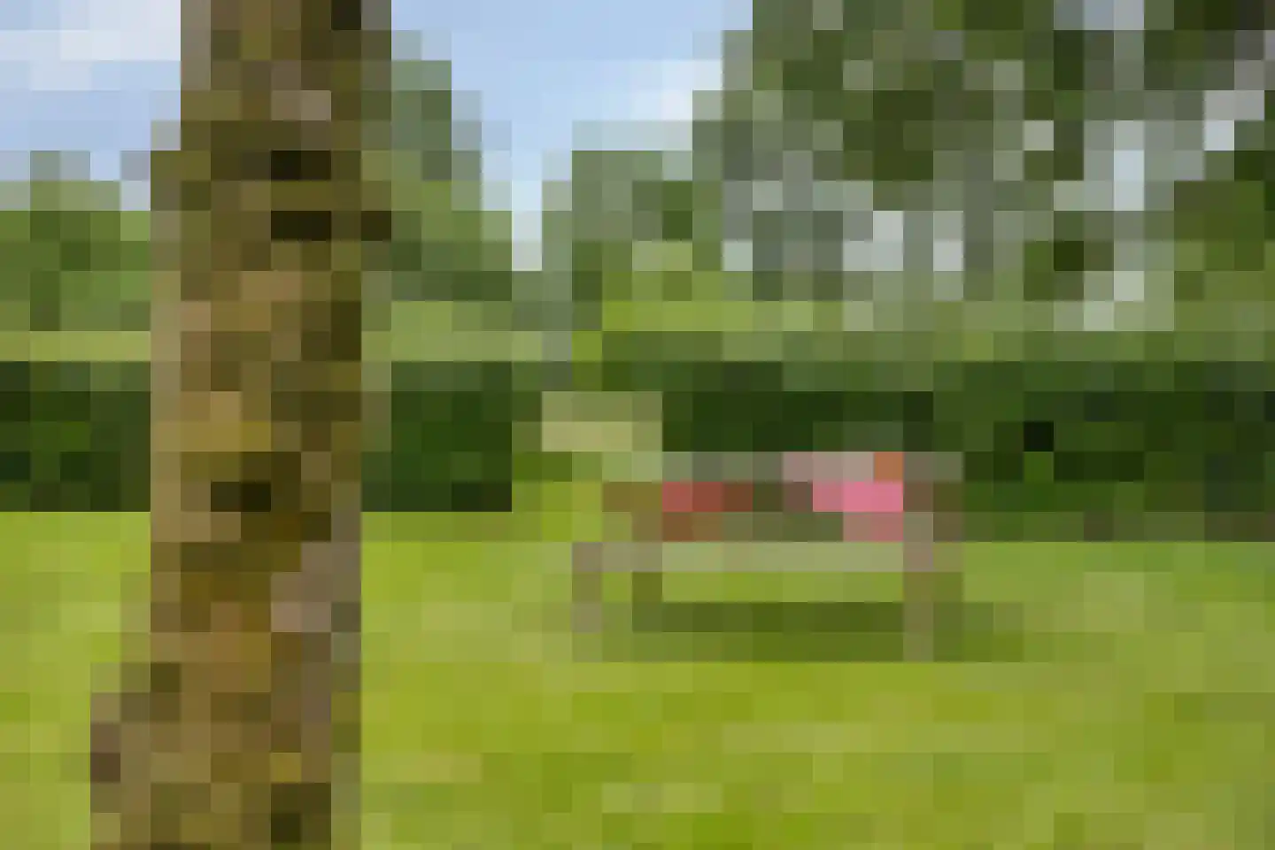 Padhuis Europaweg 48 Coevorden thumbnail 66
