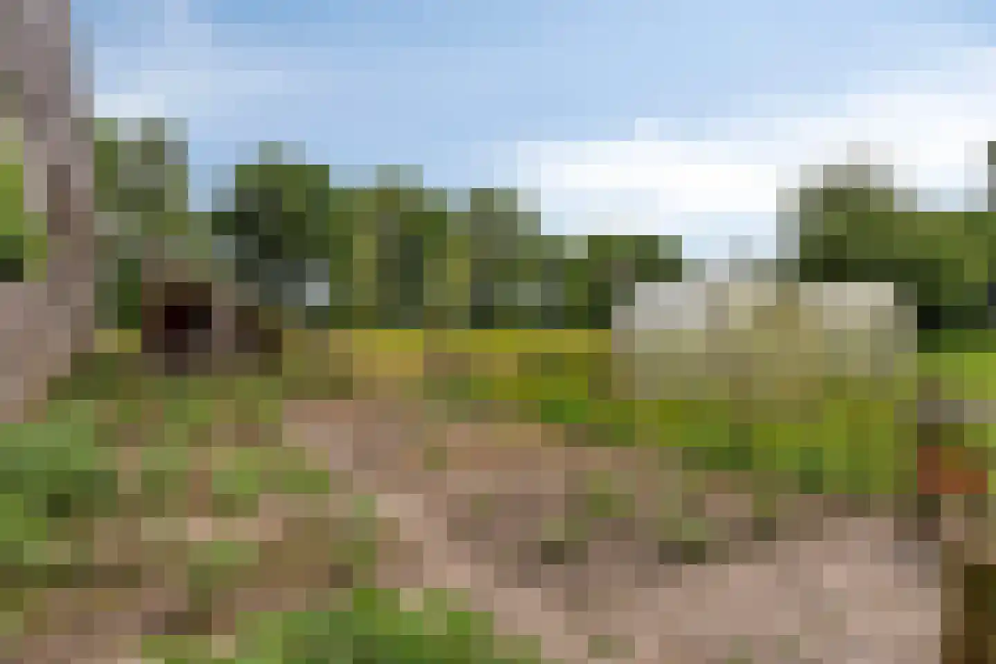 Padhuis Europaweg 48 Coevorden thumbnail 74