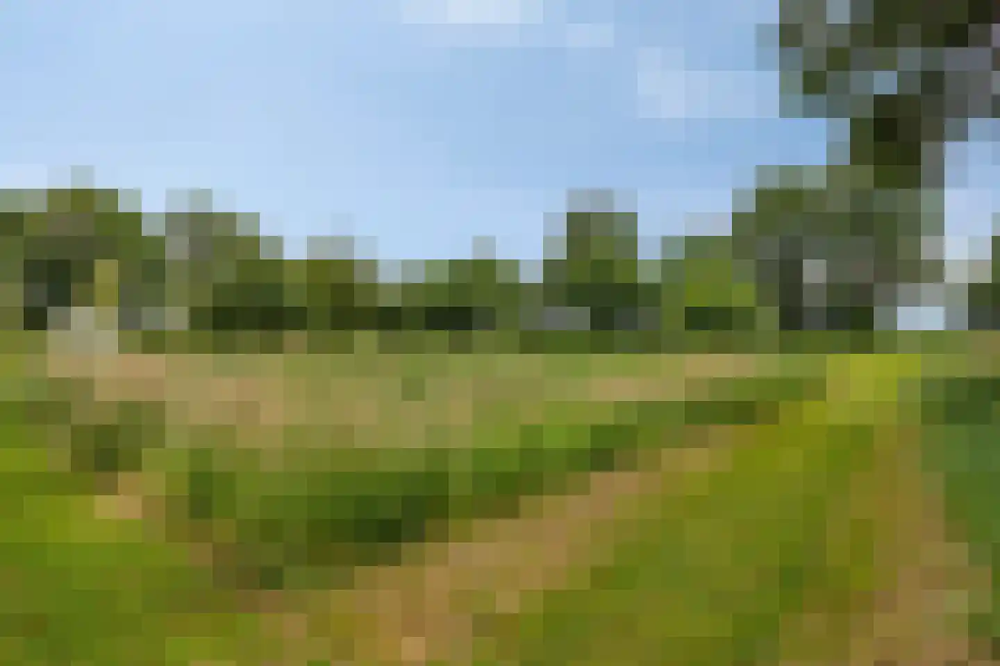 Padhuis Europaweg 48 Coevorden thumbnail 76