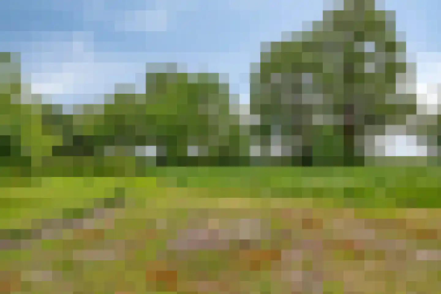 Padhuis Europaweg 48 Coevorden thumbnail 78