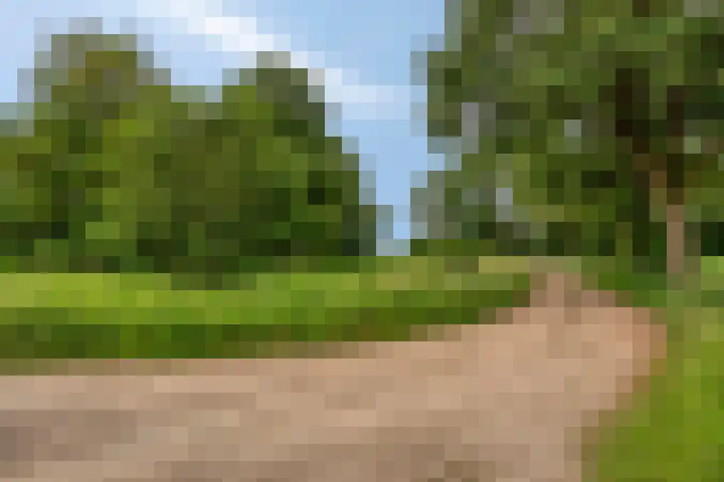 Padhuis Europaweg 48 Coevorden thumbnail 93