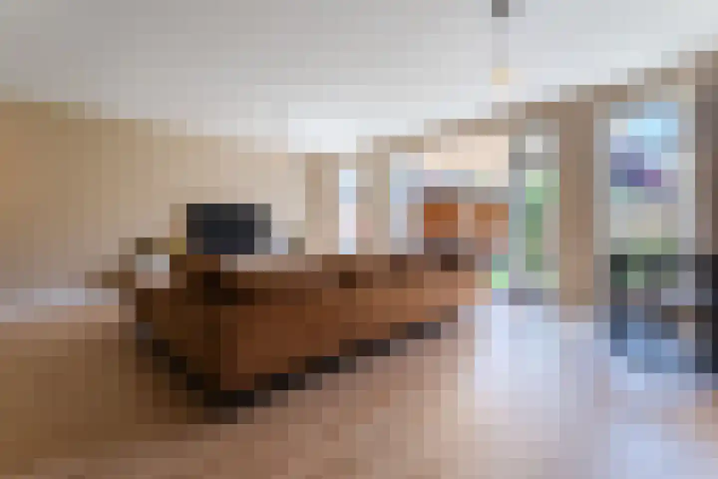 Padlaan 12 B Krommenie foto 2