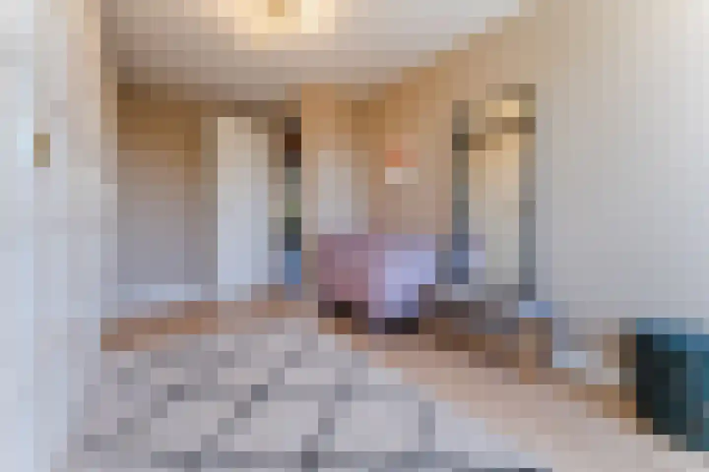 Padlaan 12 B Krommenie thumbnail 25