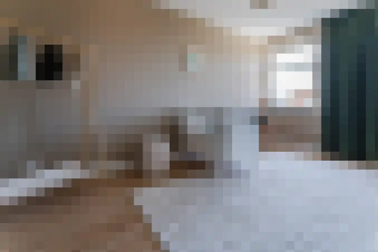 Padlaan 12 B Krommenie thumbnail 27