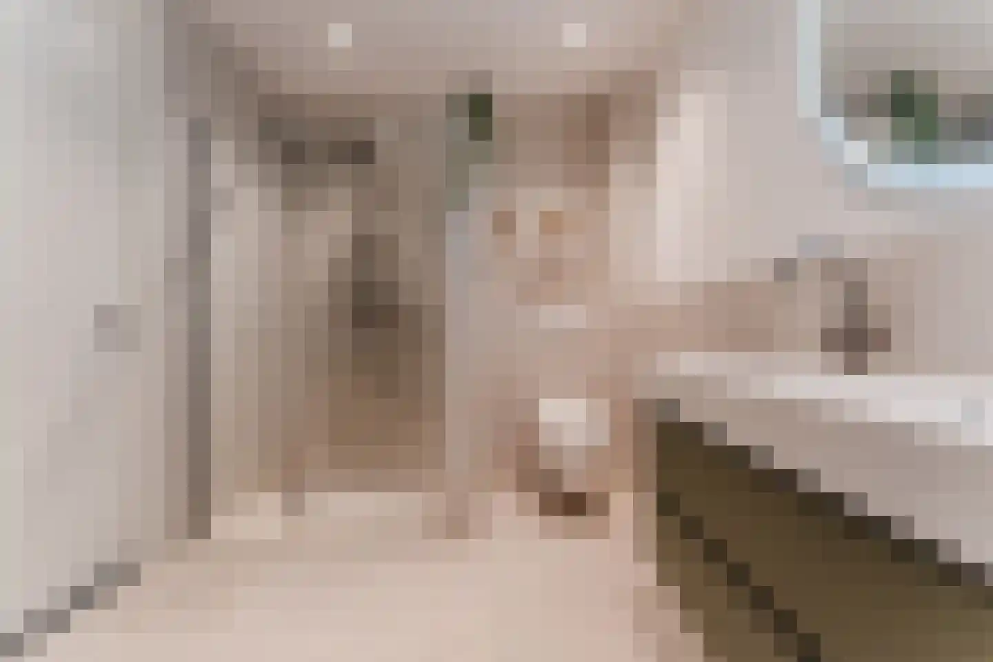 Padlaan 12 B Krommenie thumbnail 30