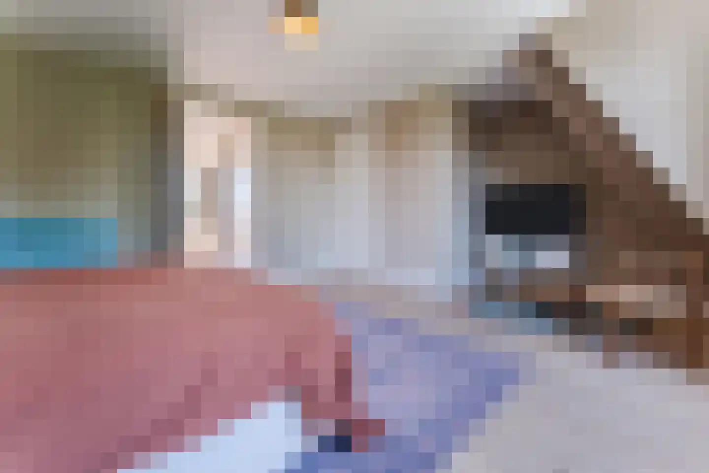Padlaan 12 B Krommenie thumbnail 36