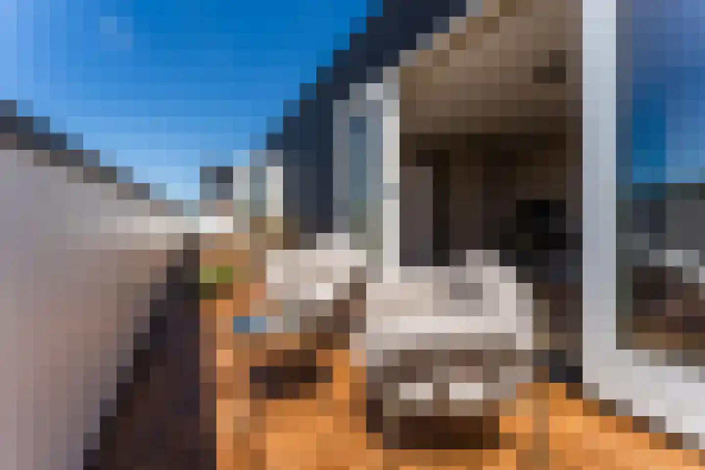 Padlaan 12 B Krommenie thumbnail 42