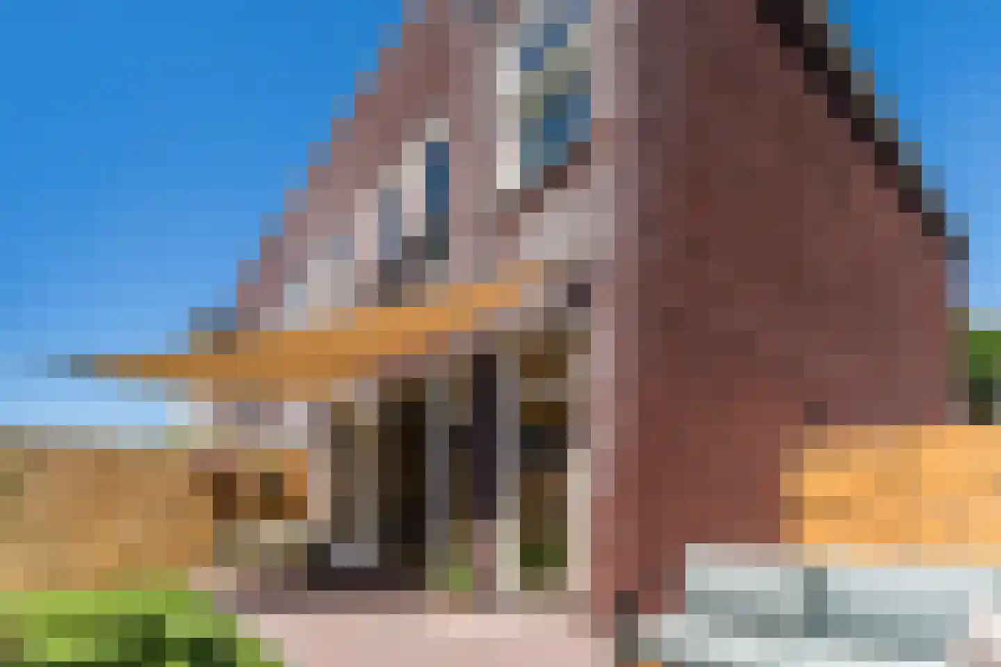 Padlaan 12 B Krommenie thumbnail 50