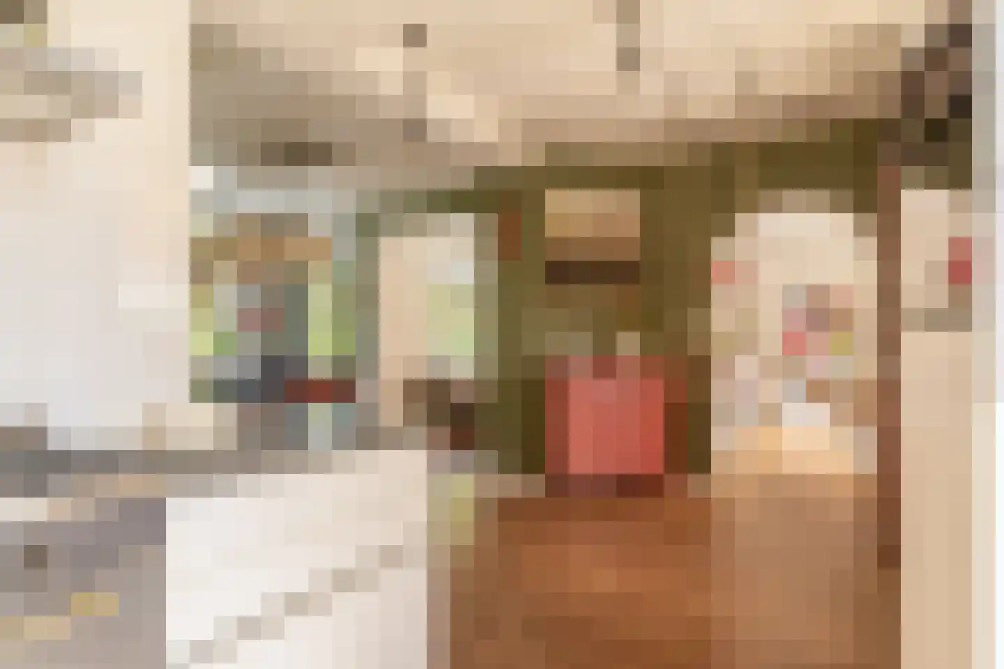 Padlaan 6 C Krommenie thumbnail 24