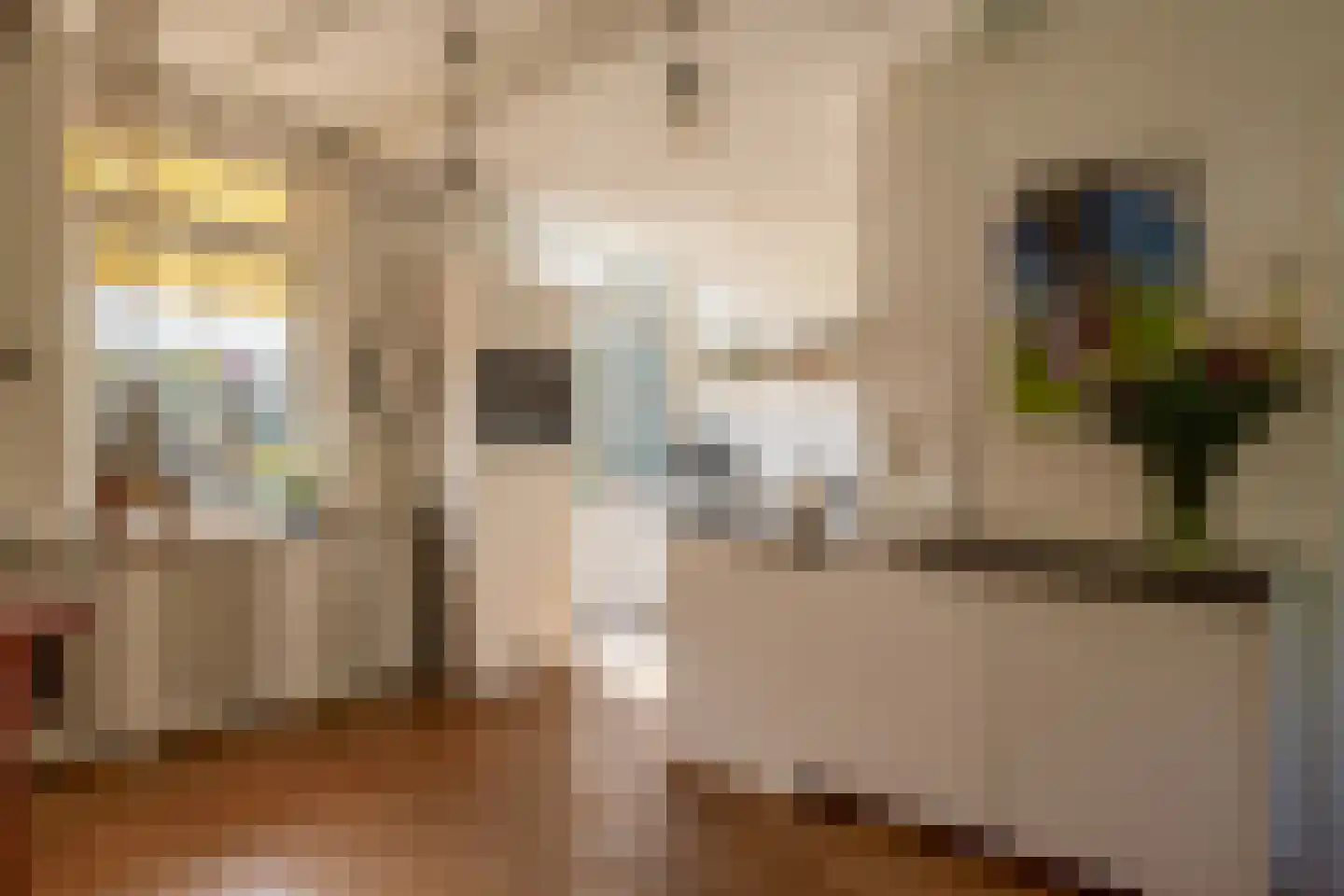 Padlaan 6 C Krommenie thumbnail 25