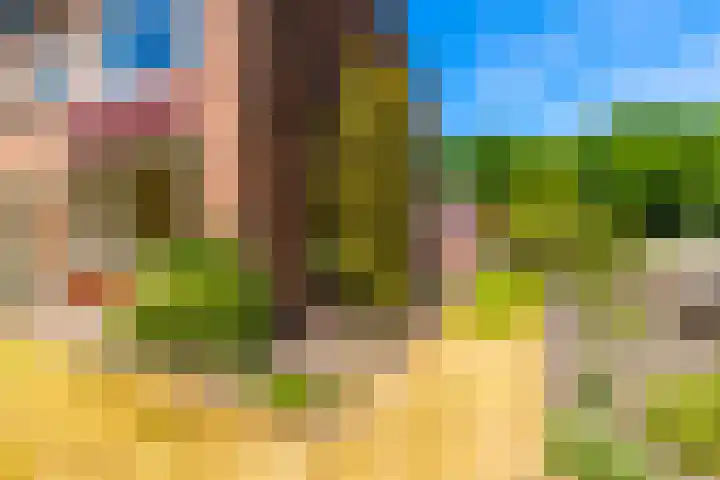 Padland 31 Doorn thumbnail 27
