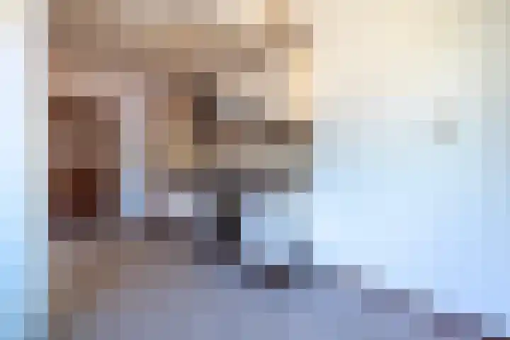 Padland 31 Doorn thumbnail 9