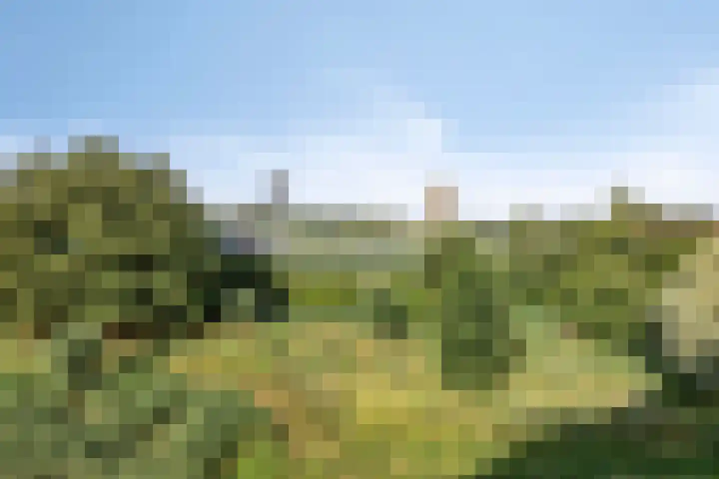Padmoes 36 Delfgauw thumbnail 33