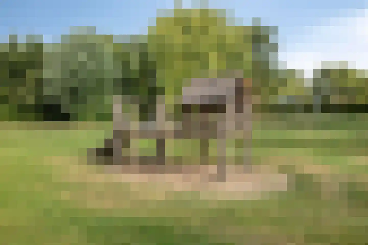 Padmoes 36 Delfgauw thumbnail 34