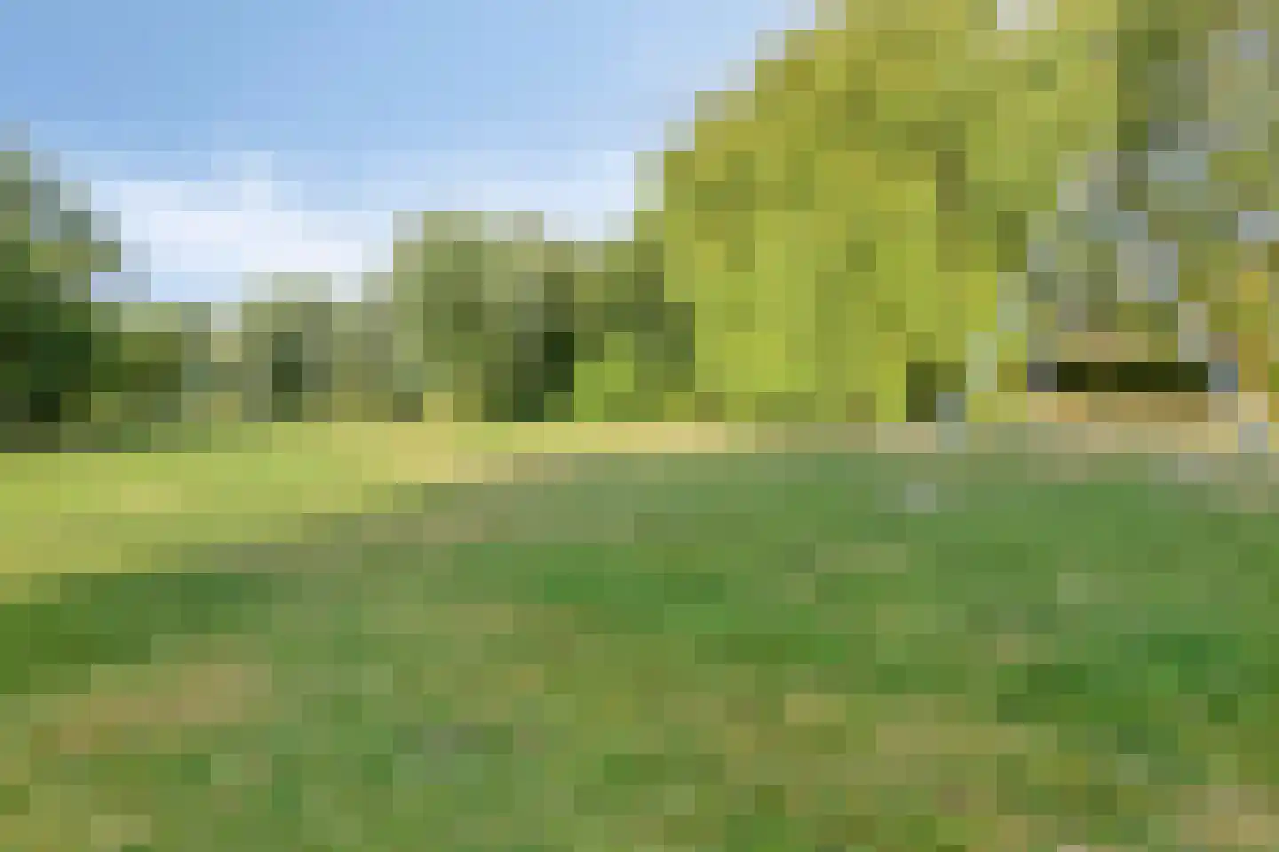 Padmoes 36 Delfgauw thumbnail 35